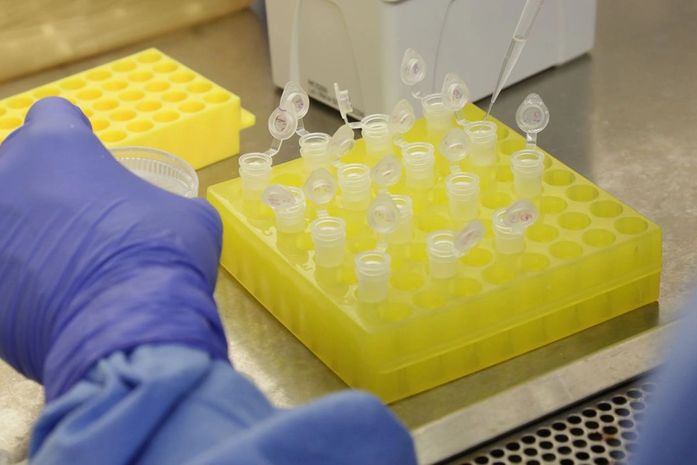 Covid-19: Brasil tem 1,3 mil mortes e 23,4 mil casos confirmados