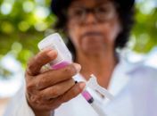 Saúde orienta população sobre como proceder após ataque de animais que transmitem raiva
