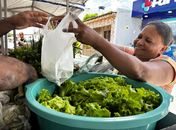 Agricultura familiar mostra sua força no encerramento do Circuito Regional de Feiras