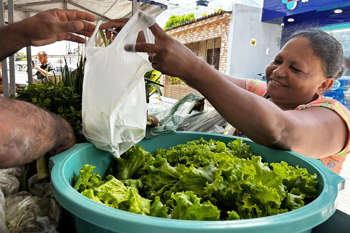 Agricultura familiar mostra sua força no encerramento do Circuito Regional de Feiras