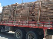 Carga de madeira irregular com destino a Alagoas é apreendida em fiscalização da PRF em Pernambuco