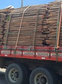 Carga de madeira irregular com destino a Alagoas é apreendida em fiscalização da PRF em Pernambuco