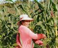 Municípios cumprem papel importante na saída do Brasil do mapa da fome