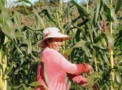 Municípios cumprem papel importante na saída do Brasil do mapa da fome