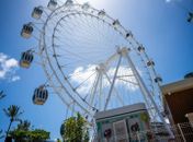 Roda Maceió adota horário especial em fevereiro e entra no clima do Carnaval