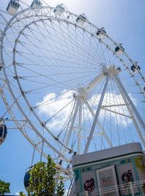 Roda Maceió adota horário especial em fevereiro e entra no clima do Carnaval