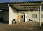 Mulher esfaqueia comerciante nas costas 