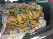 Policia prende casal com mais de 200 quilos de maconha dentro de veículo na BR 101