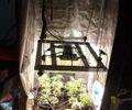 Polícia desmonta laboratório sofisticado de drogas em condomínio de luxo em Maceió