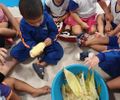 Festejos juninos: Crianças do Gigantinhos aprendem sobre história, cultura, musicalidade e culinária de forma lúdica