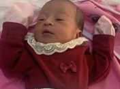 Mãe é indiciada por homicídio e ocultação de cadáver após morte de bebê em Novo Lino