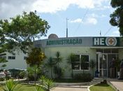 Polícia investiga caso de menino de 11 anos baleado ao subir em árvore para pegar manga