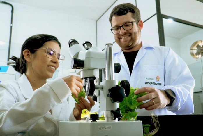 Polo Agroalimentar de Arapiraca fortalece agricultura familiar com serviços laboratoriais e pesquisas inovadoras