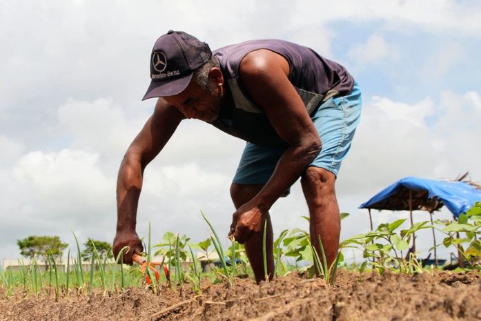 Programa em parceria com o Instituto Federal de Alagoas beneficia 20 famílias