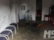 Idoso foi morto a pauladas