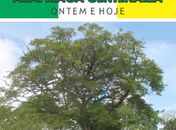 História do Centenário de Arapiraca será contada em livro a ser lançado em 2024 