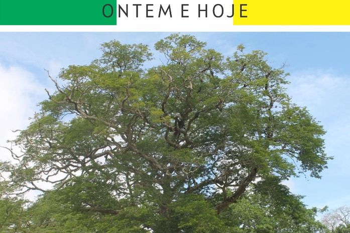 História do Centenário de Arapiraca será contada em livro a ser lançado em 2024 