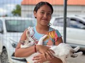 Castração gratuita beneficia dezenas de animais no Distrito Sinimbu neste sábado (24)