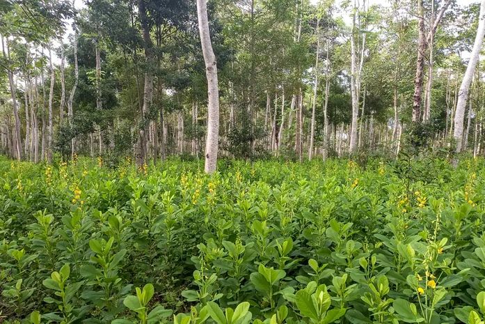 MPs discutem desafios digitais e mudanças climáticas