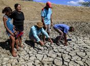 Seca severa deve atingir 30% dos municípios alagoanos