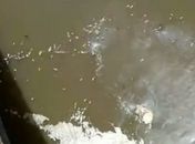 Laudo aponta fertilizantes como causa de peixes mortos e pesquisador orienta que se evite consumo e banho de rio