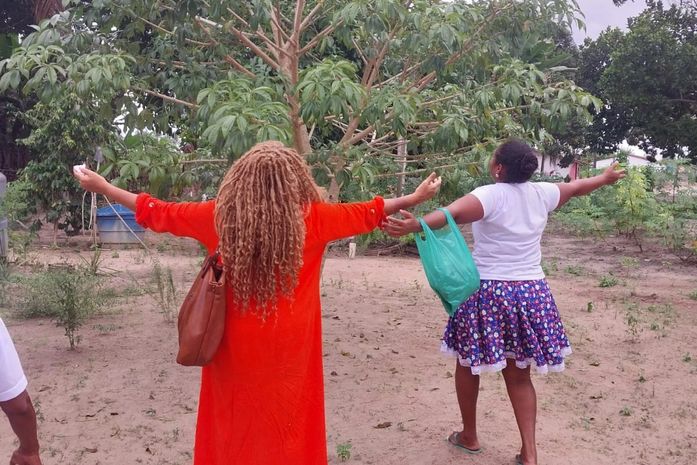 Sua majestade, o  Baobá do Quilombo Birros, nos ensina que a vida é um passo de cada vez
