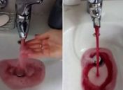 Torneiras e chuveiros de cidade soltam vinho no lugar de água