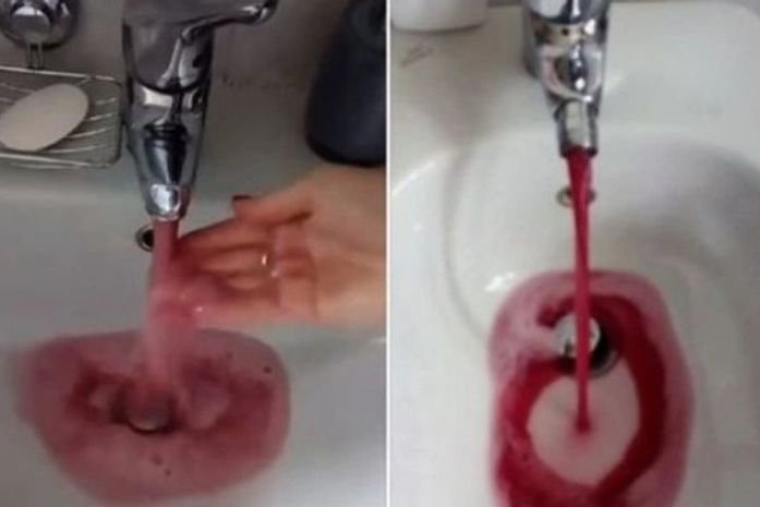 Torneiras e chuveiros de cidade soltam vinho no lugar de água