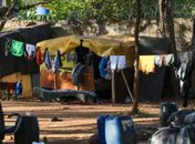 Reorganização do Bolsa Família é prioridade do Desenvolvimento Social