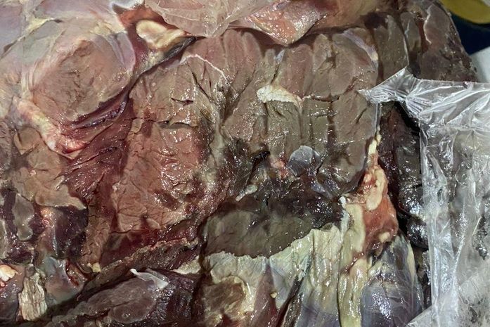 Higienização precária e ambiente insalubre: Fiscais interditam pizzaria e apreendem 80kg de alimentos com validade vencida