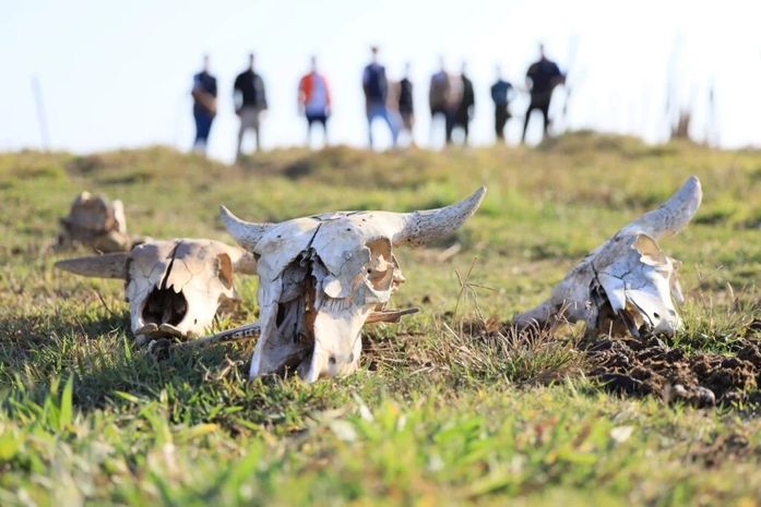 "Cemitério de carcaças": fiscalização flagra abate clandestino e apreende carnes impróprias para consumo