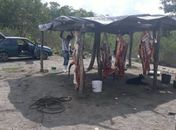 Matadouro clandestino é interditado na zona rural de Atalaia