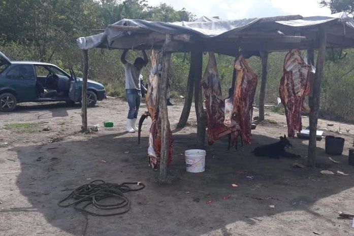 Matadouro clandestino é interditado na zona rural de Atalaia