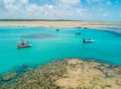 Porto de Pedras continua com única praia Bandeira Azul de Alagoas Municípios
