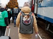 Grupo de 47 ucranianos chega ao Brasil em acolhida humanitária