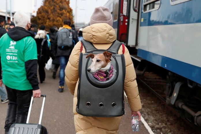 Grupo de 47 ucranianos chega ao Brasil em acolhida humanitária