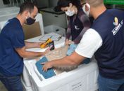Alagoas recebe 104.490 doses de vacinas e distribuição para os municípios começa nesta sexta-feira (25)