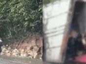 Vídeo: caminhão carregado de queijos tomba na BR-101 e carga é saqueada por populares
