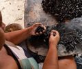 Maceió investe no fortalecimento das marisqueiras e na preservação da Lagoa Mundaú