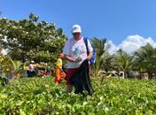 Ação para marcar o Dia Mundial de Limpeza de Rios e Praias neste sábado (21) em Guaxuma