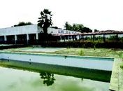 Advogado garante que sede social ficará em posse do alvinegro