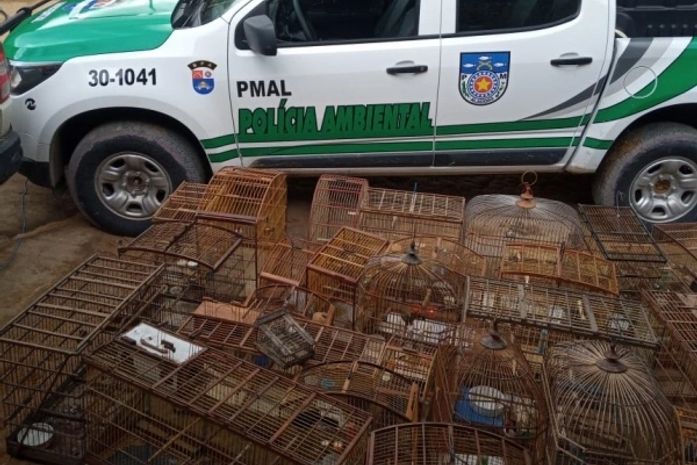 Aves mantidas em cativeiro de forma ilegal são apreendidas em Messias