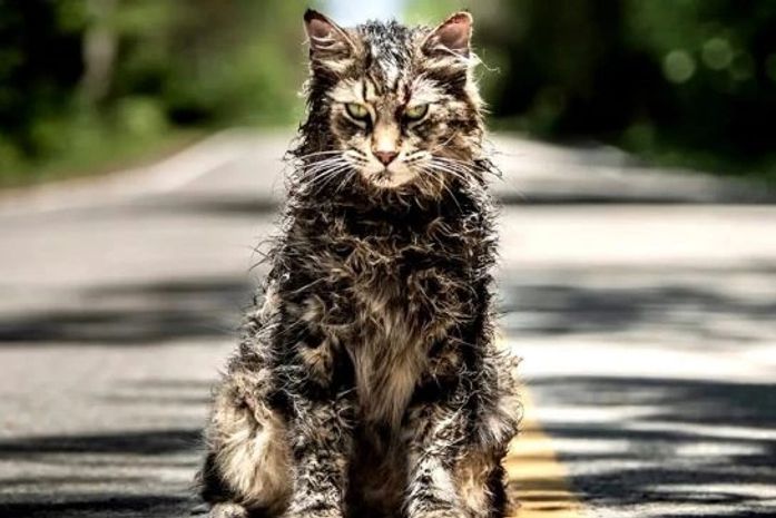 Nova versão de "Cemitério Maldito" está entre as piores adaptações de Stephen King para o cinema