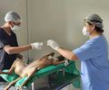 Santana do Ipanema lança Programa Municipal de Castração de Cães