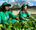 Dia Mundial do Meio Ambiente: Cooperativa Pindorama dá exemplo com ações de preservação