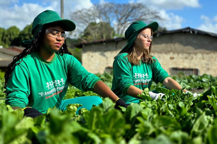 Dia Mundial do Meio Ambiente: Cooperativa Pindorama dá exemplo com ações de preservação
