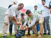 Arapiraca conquista título de “Cidade Árvore do Mundo” pelo terceiro ano consecutivo