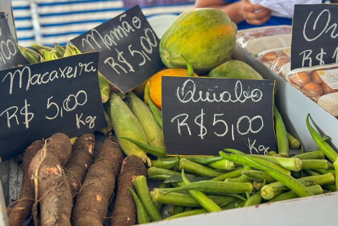 Feira da Agricultura Familiar em Murici terá participação de produtores de oito municípios