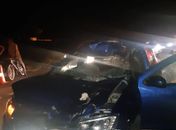 Motorista do carro sofreu escoriações e animal morreu após a colisão.