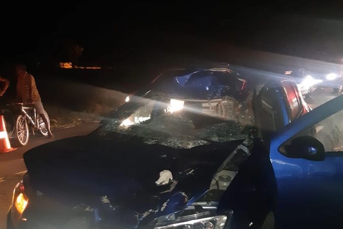 Motorista do carro sofreu escoriações e animal morreu após a colisão.